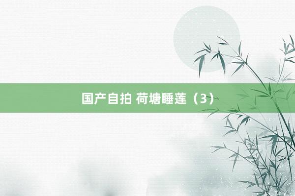 国产自拍 荷塘睡莲（3）