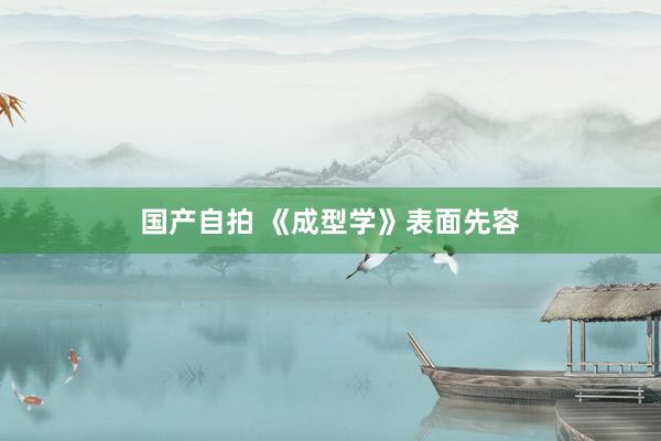 国产自拍 《成型学》表面先容
