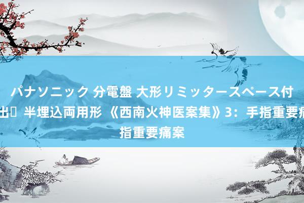 パナソニック 分電盤 大形リミッタースペース付 露出・半埋込両用形 《西南火神医案集》3：手指重要痛案