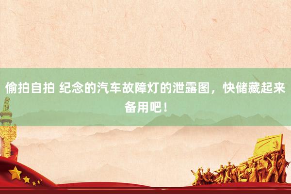 偷拍自拍 纪念的汽车故障灯的泄露图，快储藏起来备用吧！