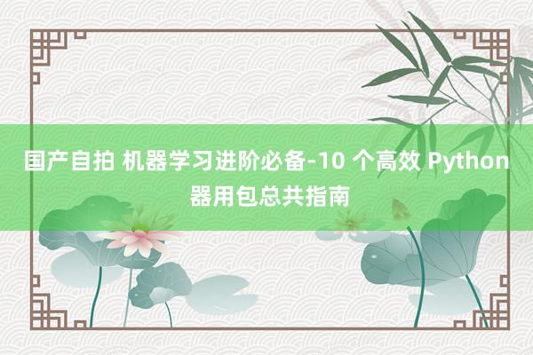 国产自拍 机器学习进阶必备-10 个高效 Python 器用包总共指南