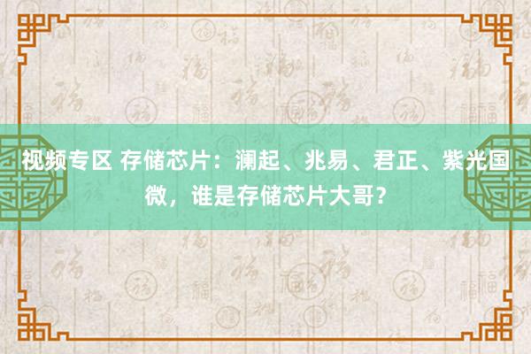 视频专区 存储芯片：澜起、兆易、君正、紫光国微，谁是存储芯片大哥？