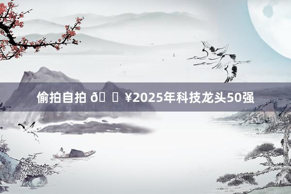 偷拍自拍 🔥2025年科技龙头50强